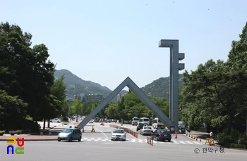 서울대학교