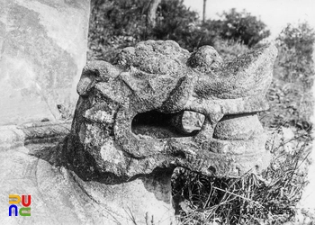 충주 정토사지 홍법국사탑비 귀부 두부