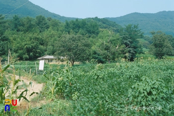 공주 구룡사지