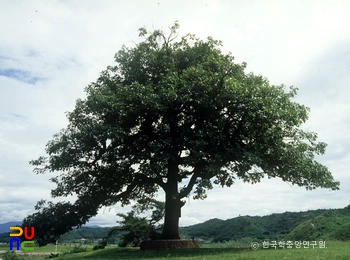 카지노 꽁머니 즉시지급