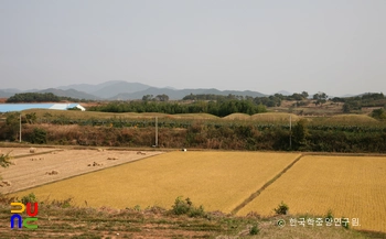 함평 예덕리 고분군