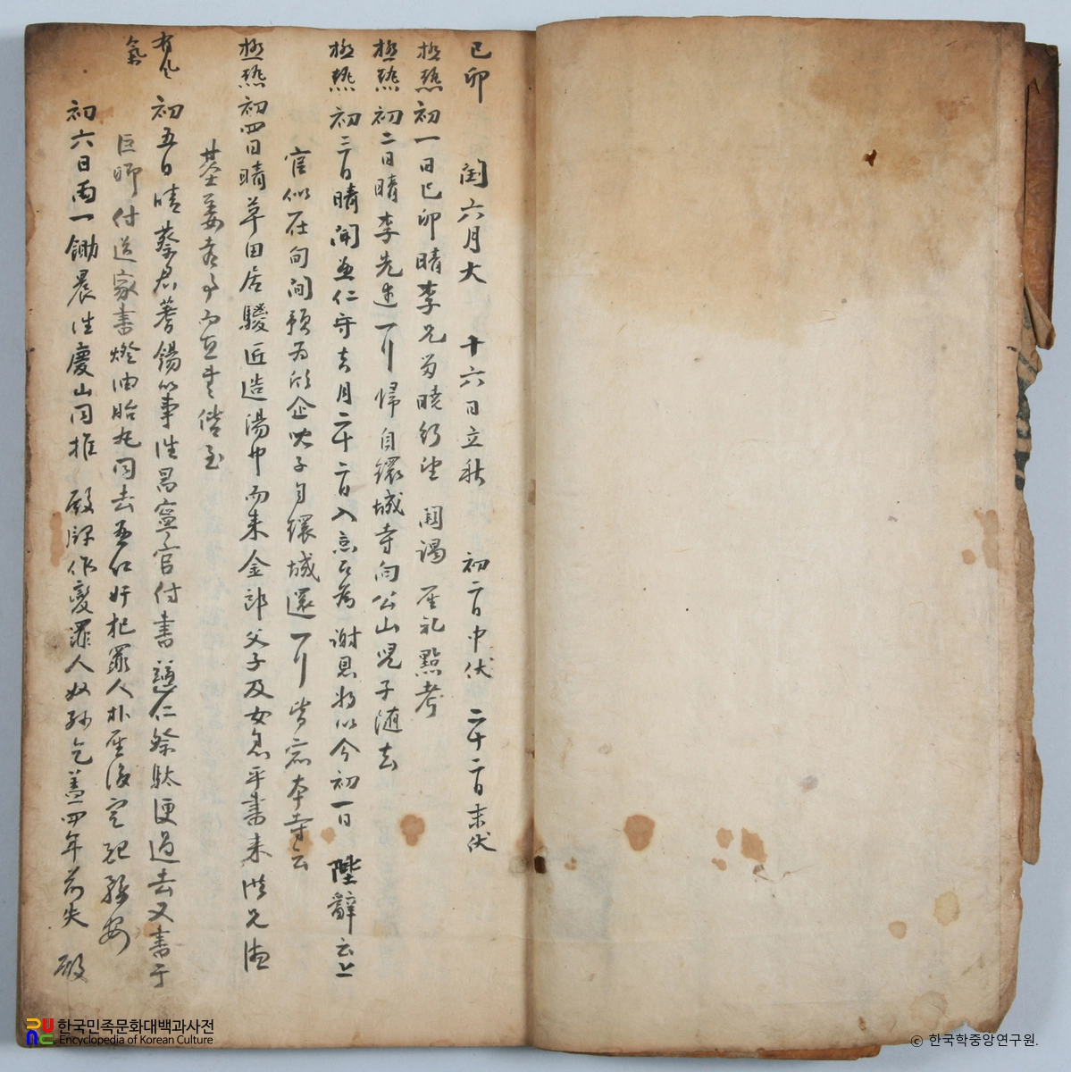 선산 노진환 소장 전적 / 일록 본문