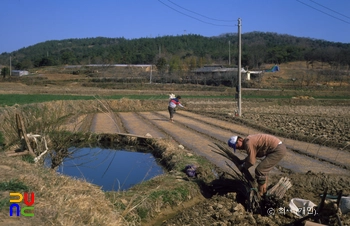 보