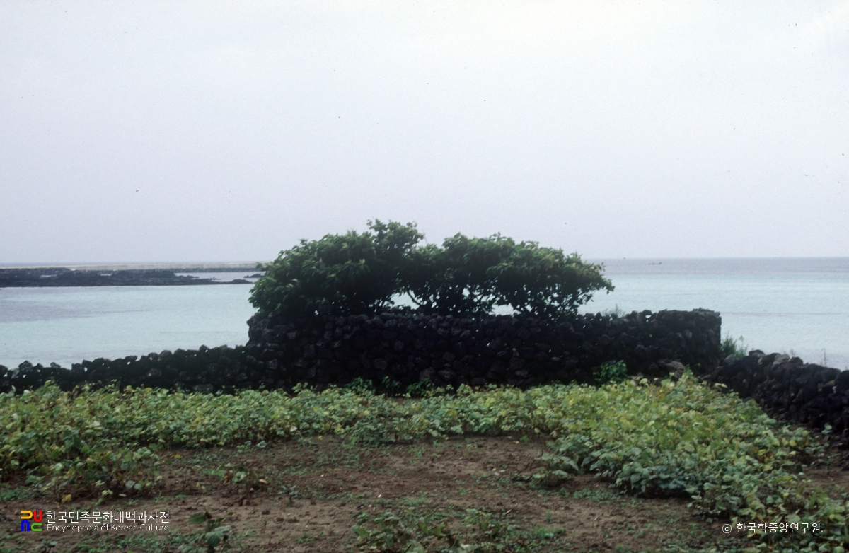 제주 김녕리 해신당 전경