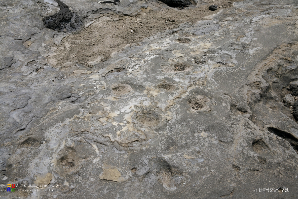 제주 사람발자국과 동물발자국 화석 산지