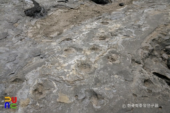 제주 사람발자국과 동물발자국 화석 산지