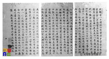비해당버팔로 슬롯 머신 규칙 이영서 서문
