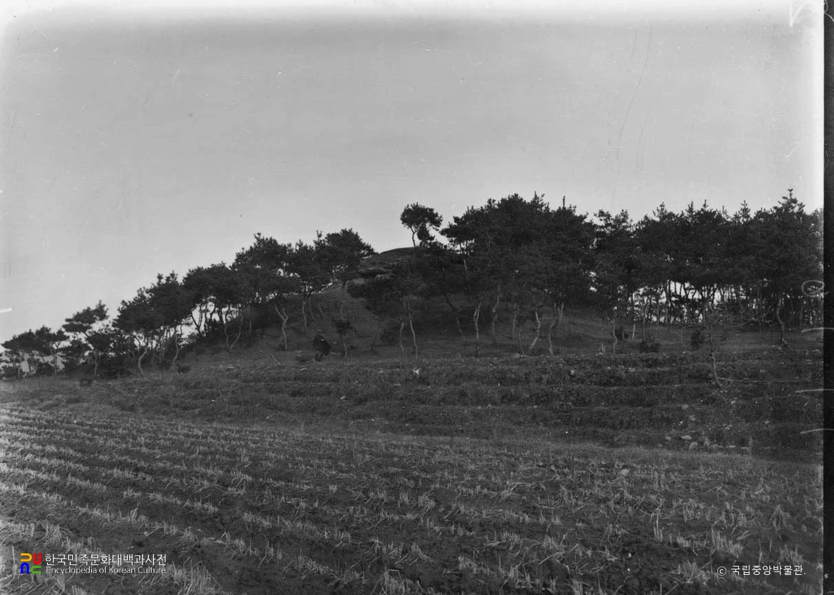 순천 용악리 고분