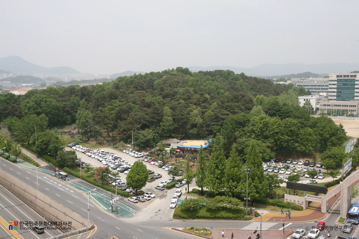 대전 궁동 유적