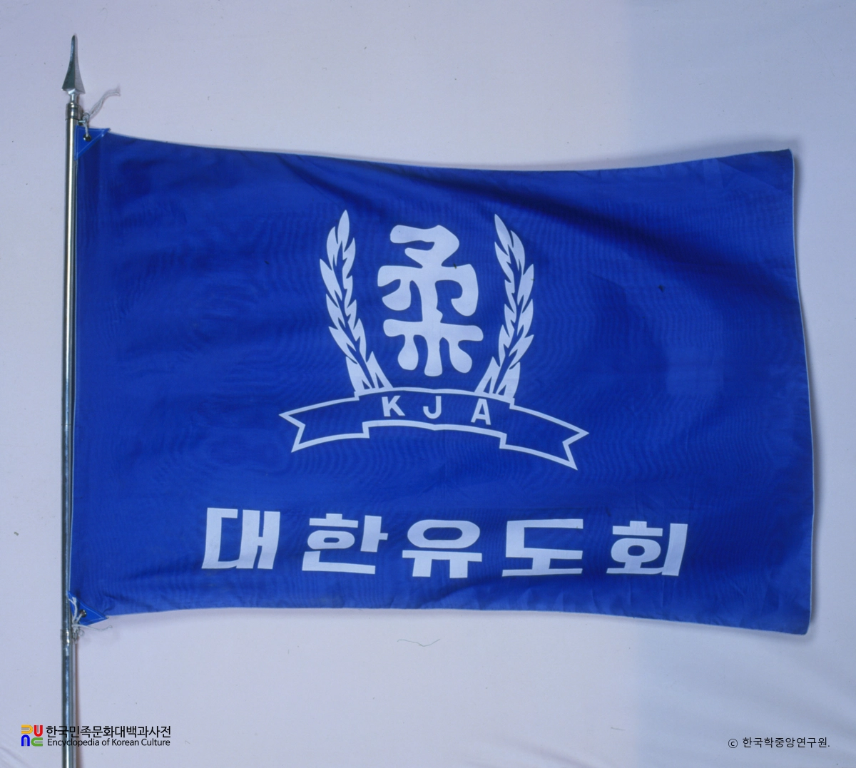 대한유도협회 기