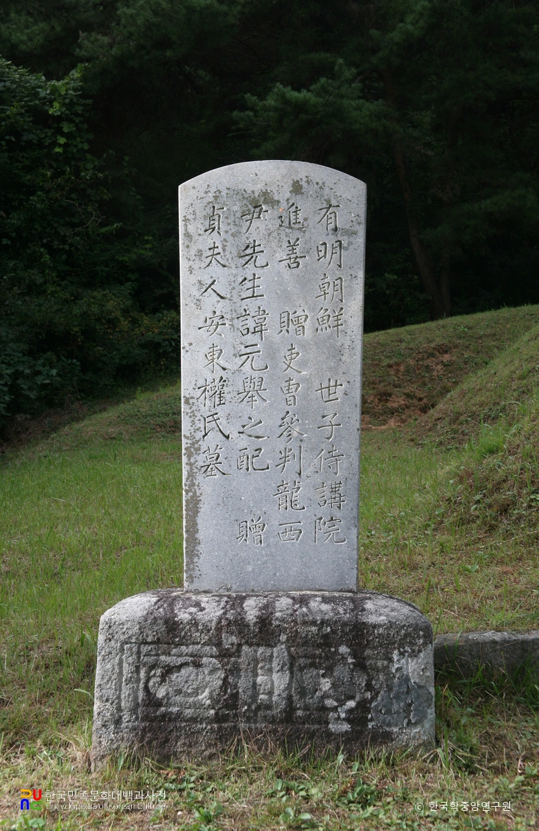 공주 윤원거의 묘비석