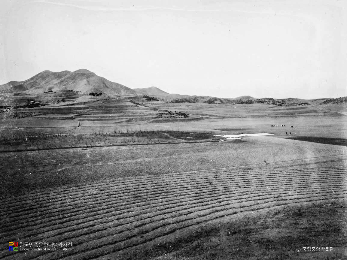 함안 가야리 고분군 전경