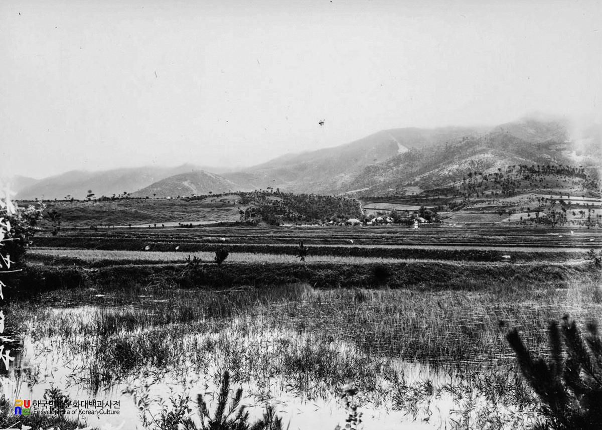 보성 조성원 폐사지 전경