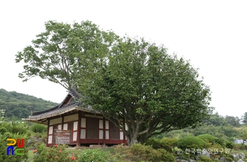나주 송죽리 금사정 동백다복 이 슬롯