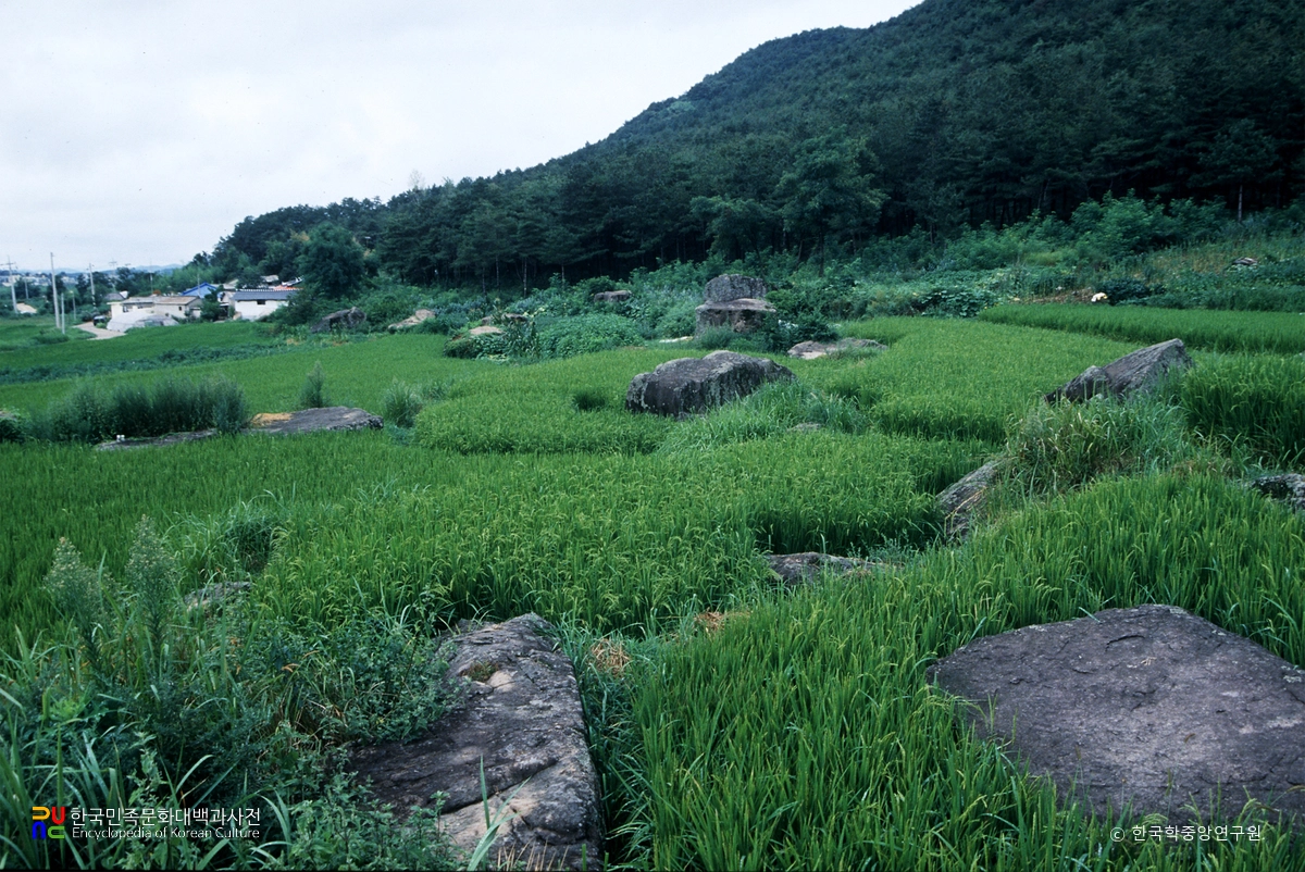 고창 죽림리 지석묘군 전경