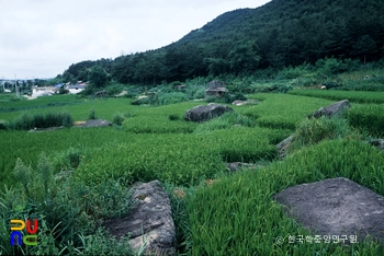 고창 죽림리 지석묘군 전경