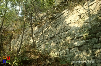 충주 장미마닐라 슬롯