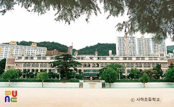 사하초등학교