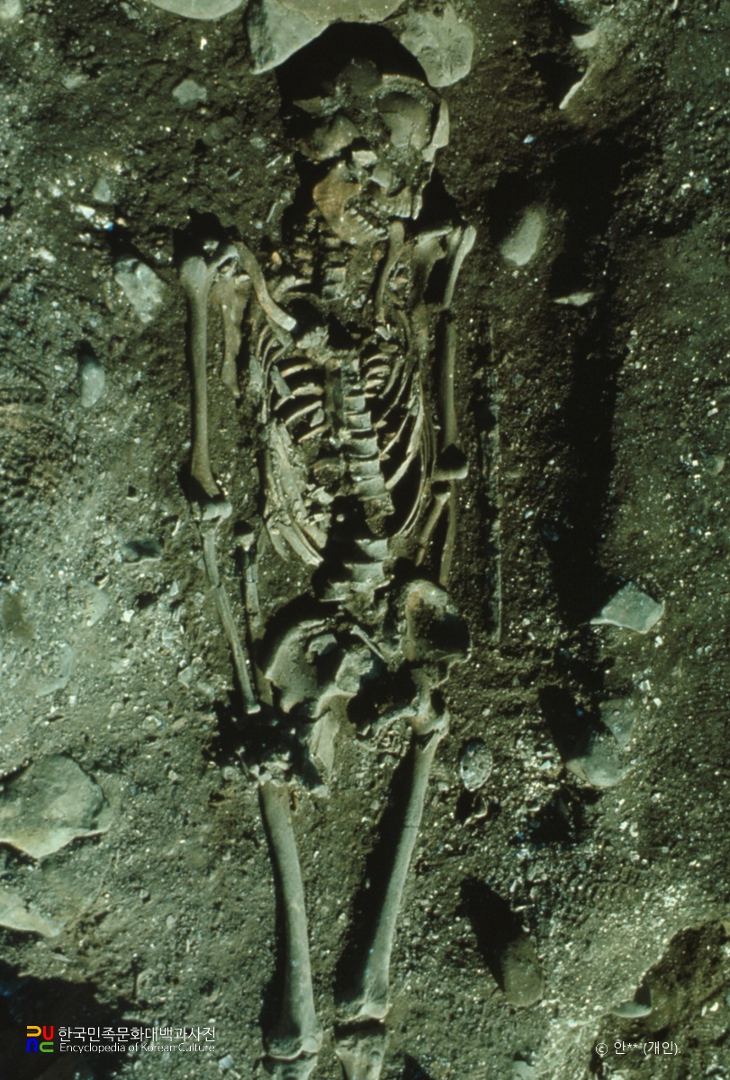 부산 조도패총 인골 노출 장면