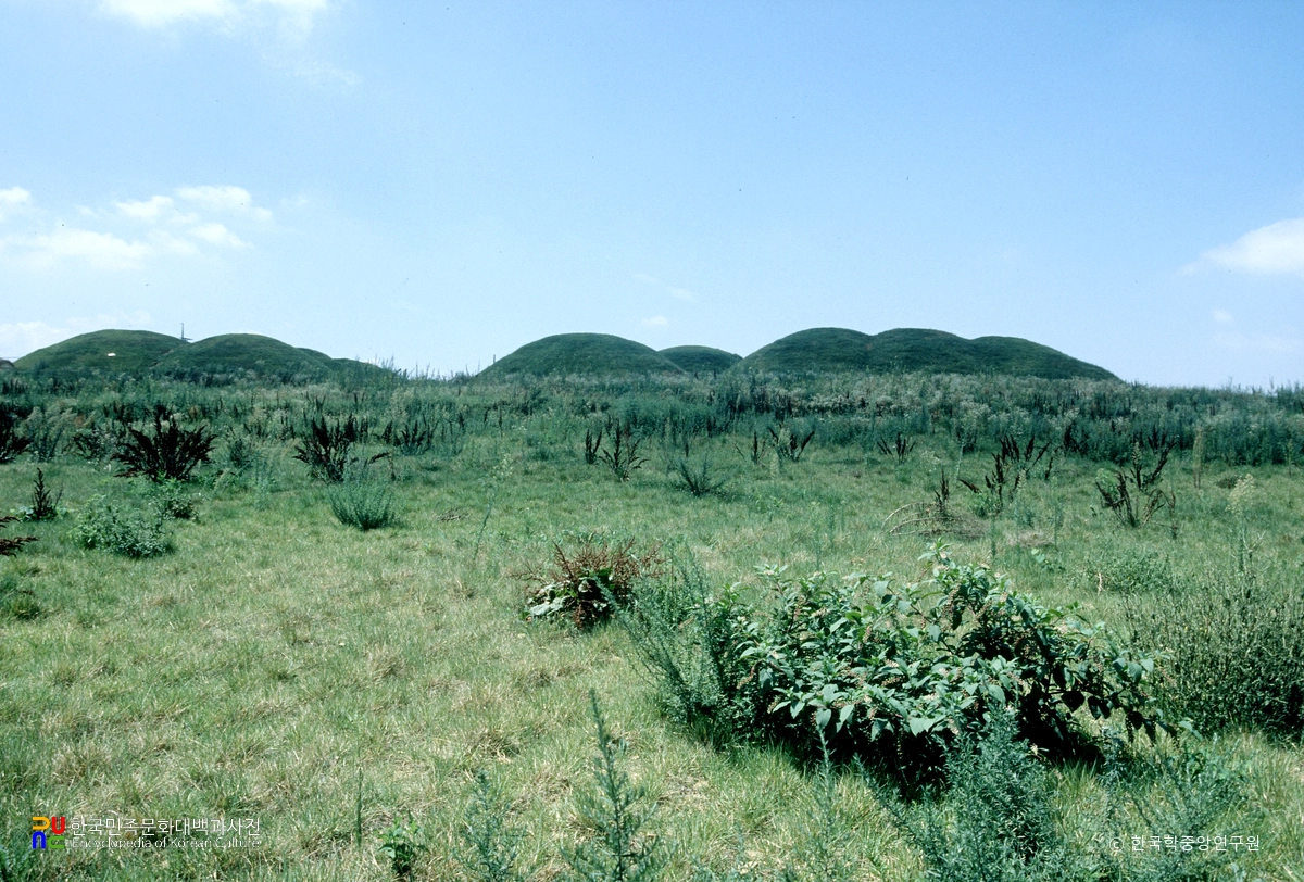 경산 조영동 고분군