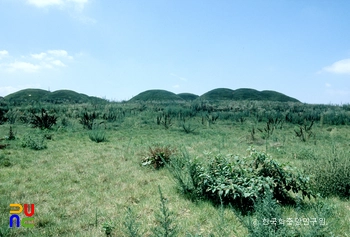 경산 조영동 던파 온 슬롯