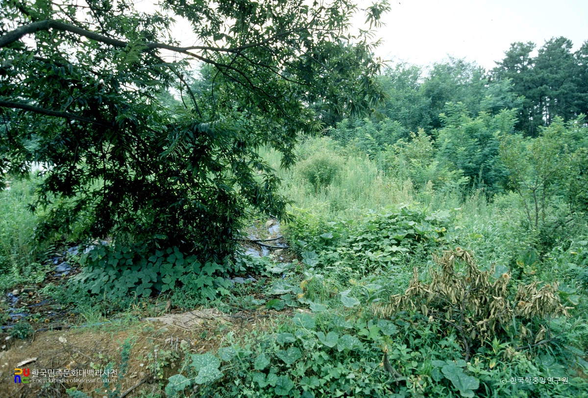 구완동 청자 가마터