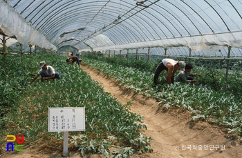 김해농업고등학교 실습장