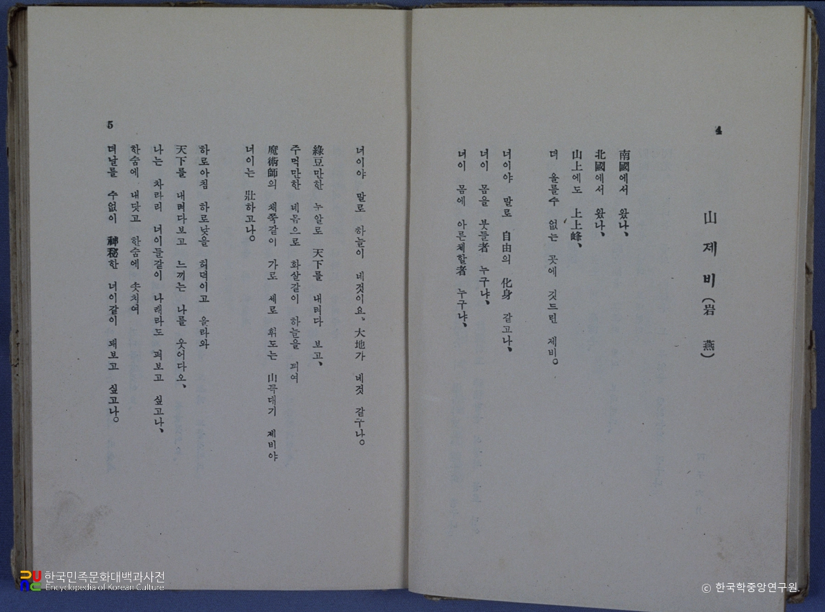 산제비 / 박세영