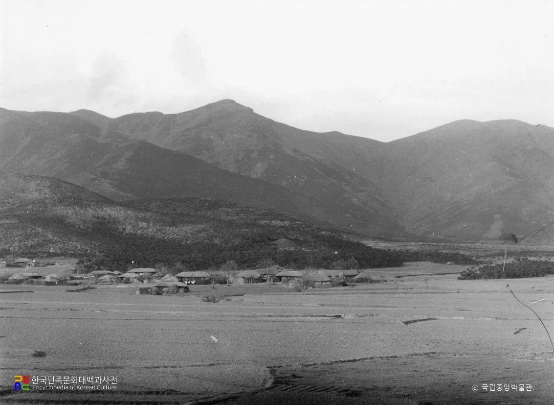 경주 신라 흥덕왕릉 전경