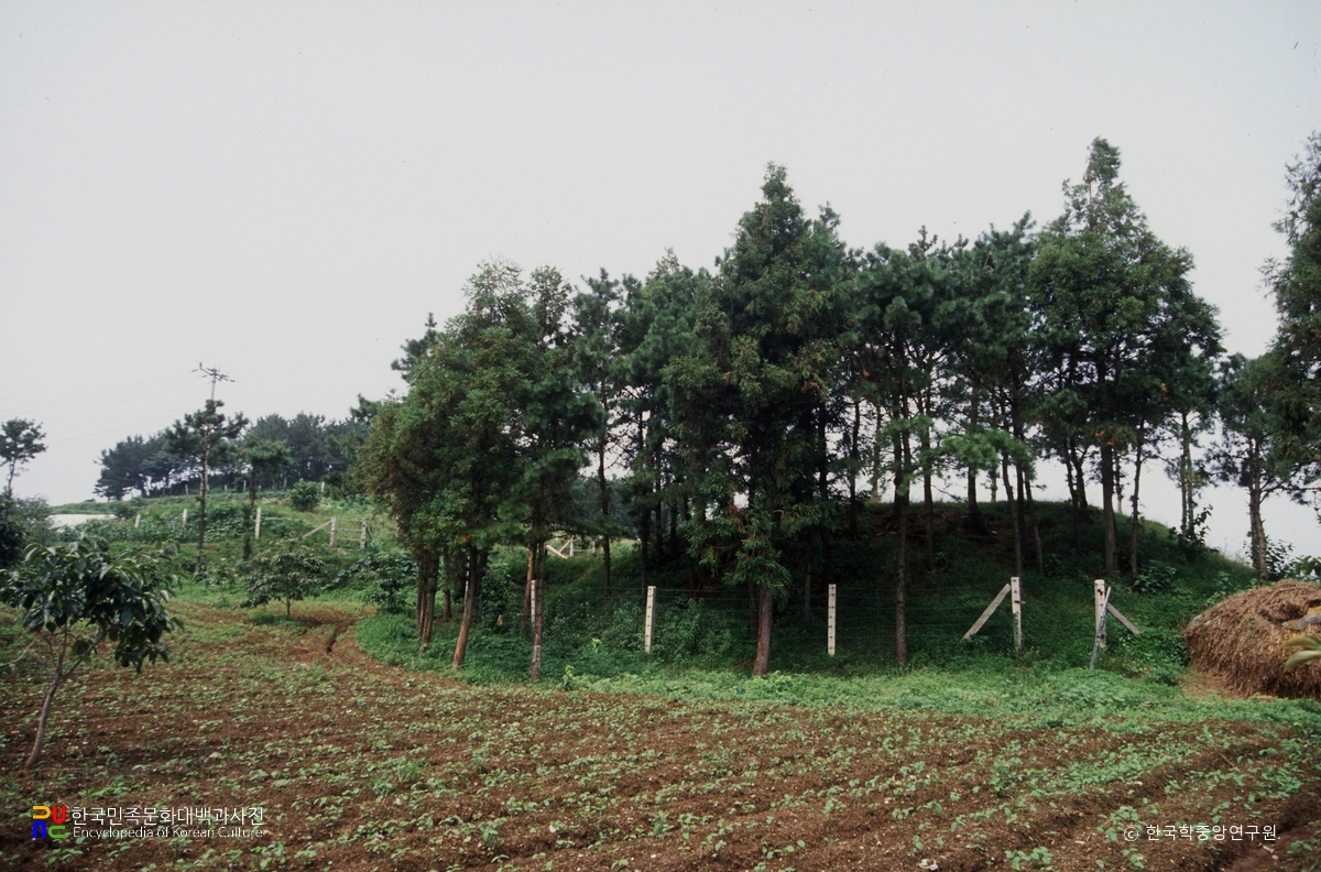 경남 고성 송학동 고분군 전경