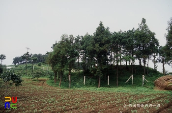 경남 고성 송학동 고분군 전경