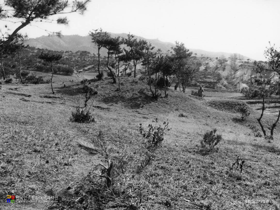 부여 능산리 1호분 전경