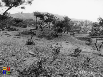 부여 능산리 1호분 전경