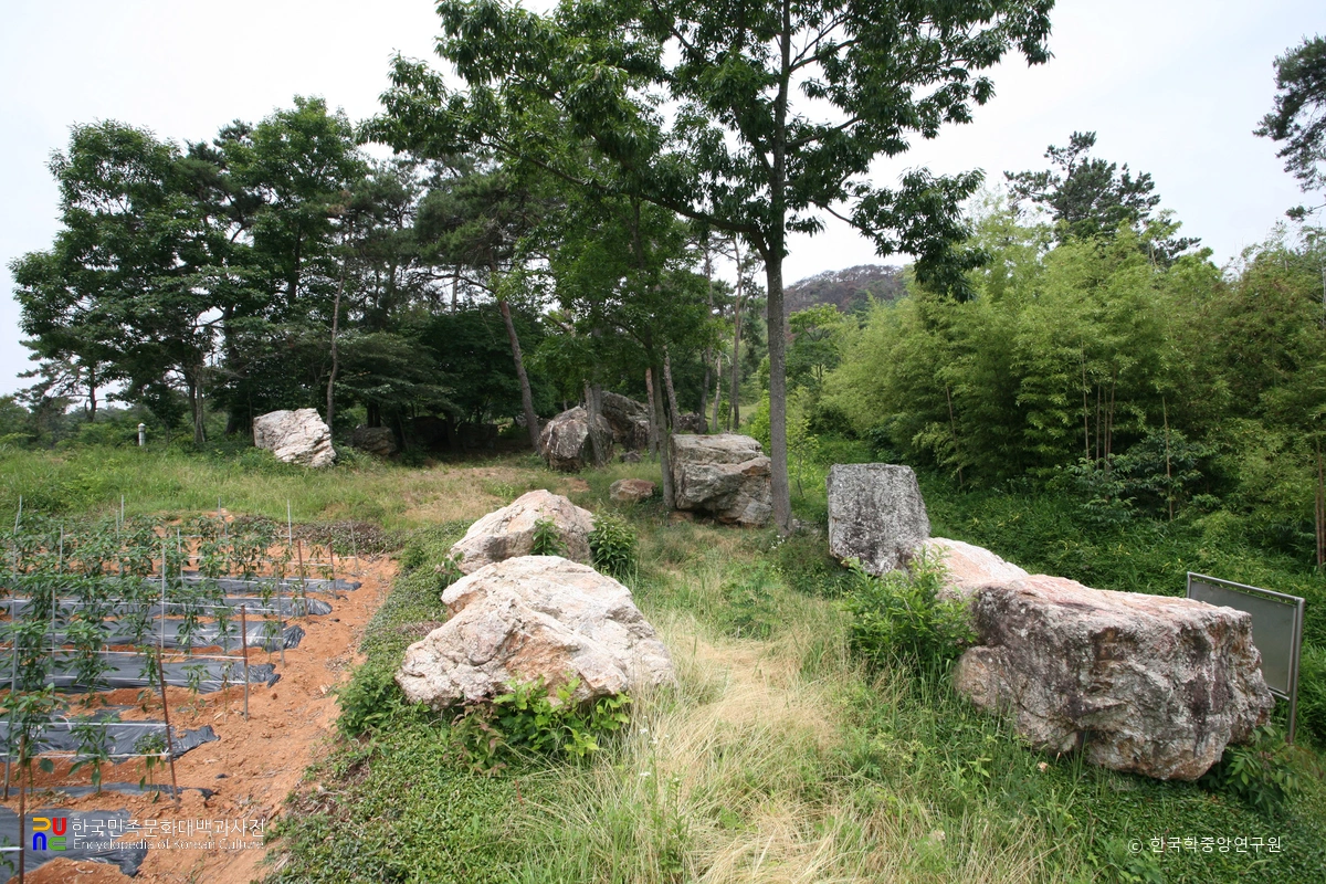 나주 신포리 지석묘군 전경