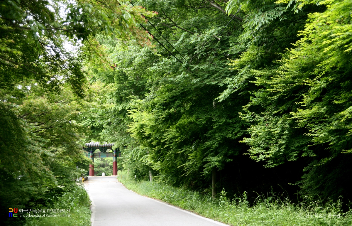 고창 문수사 단풍나무 숲