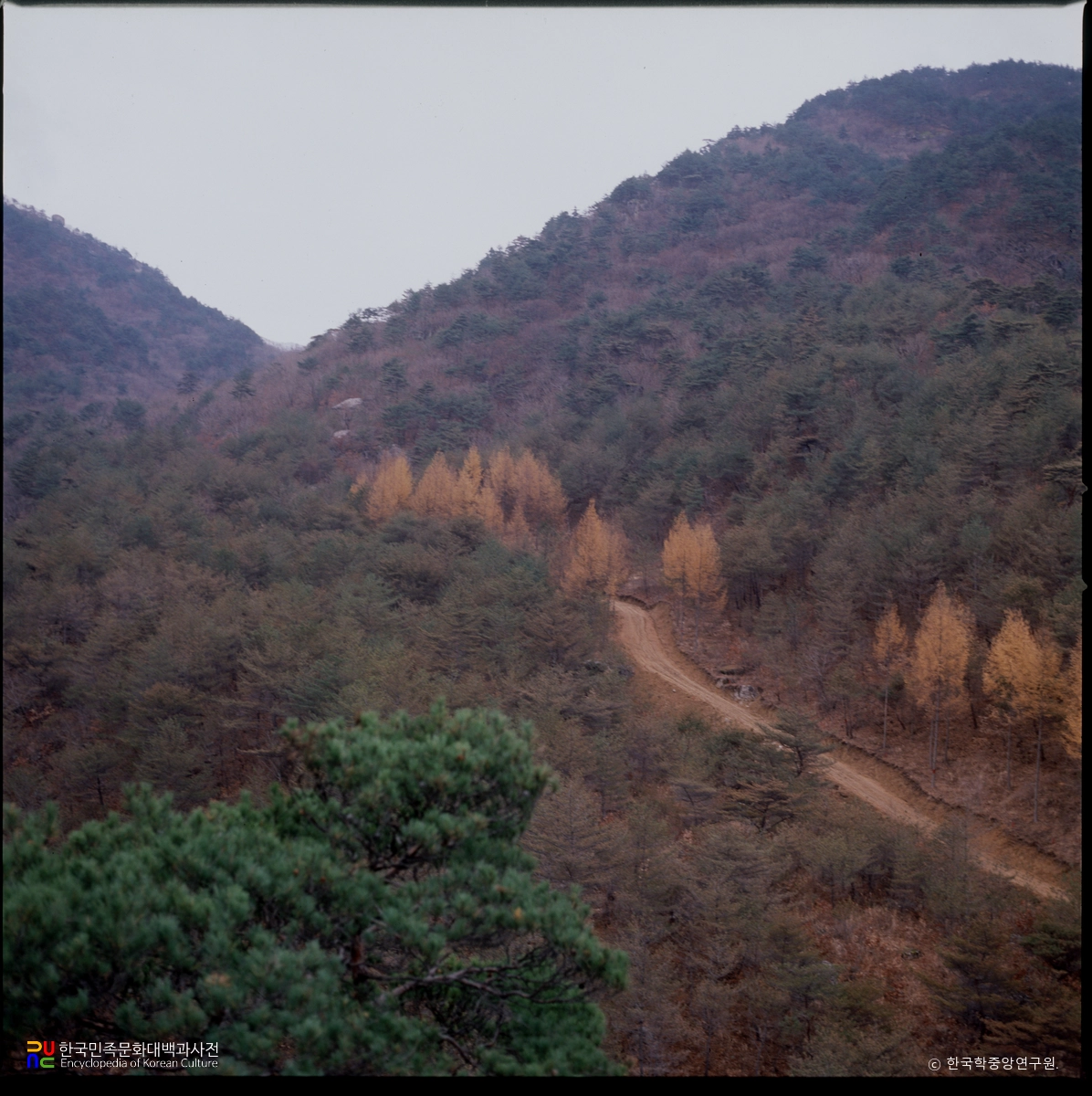 충주 계립령로 하늘재