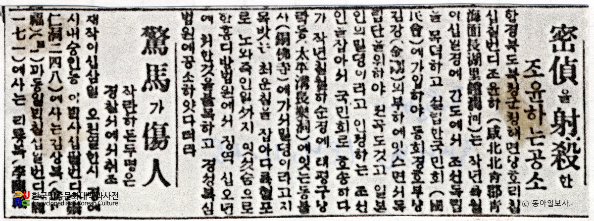 조윤하 관련 기사