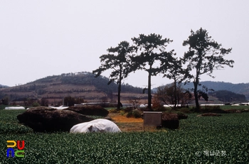 해남 방축리 지석묘군