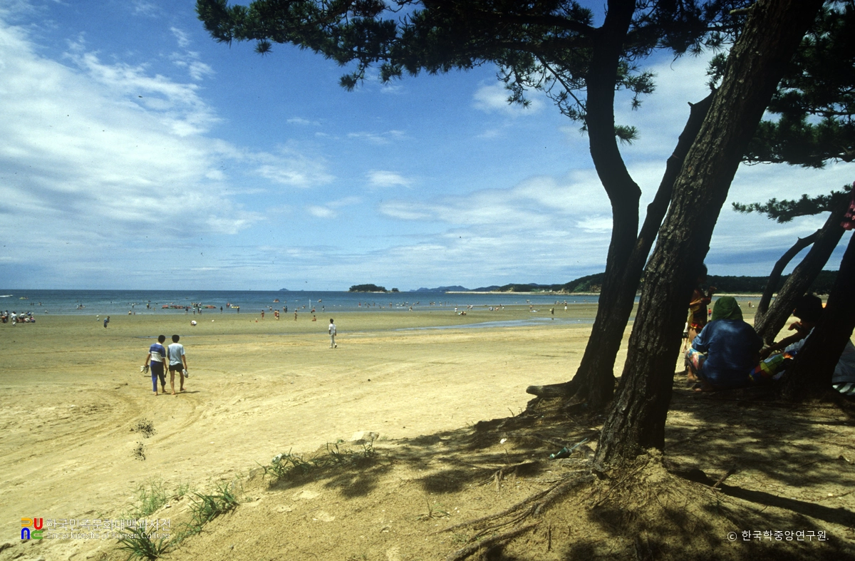 몽산포해수욕장