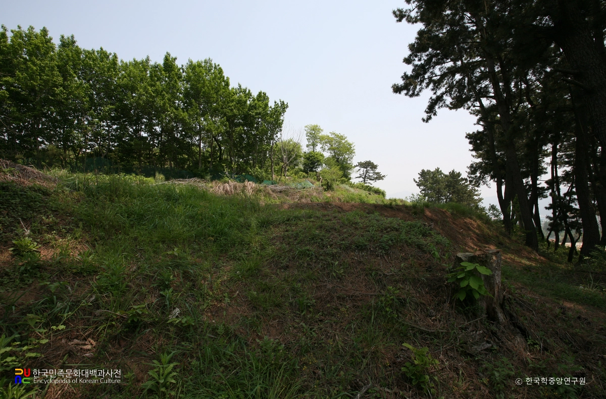 창원 가음정동 고분군