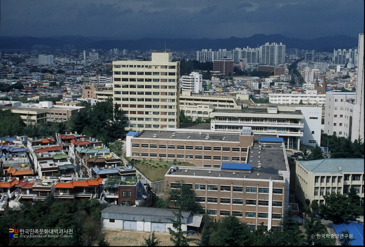 영남이공대학교