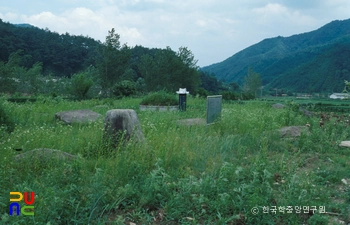 홍천군 업리 지석묘군