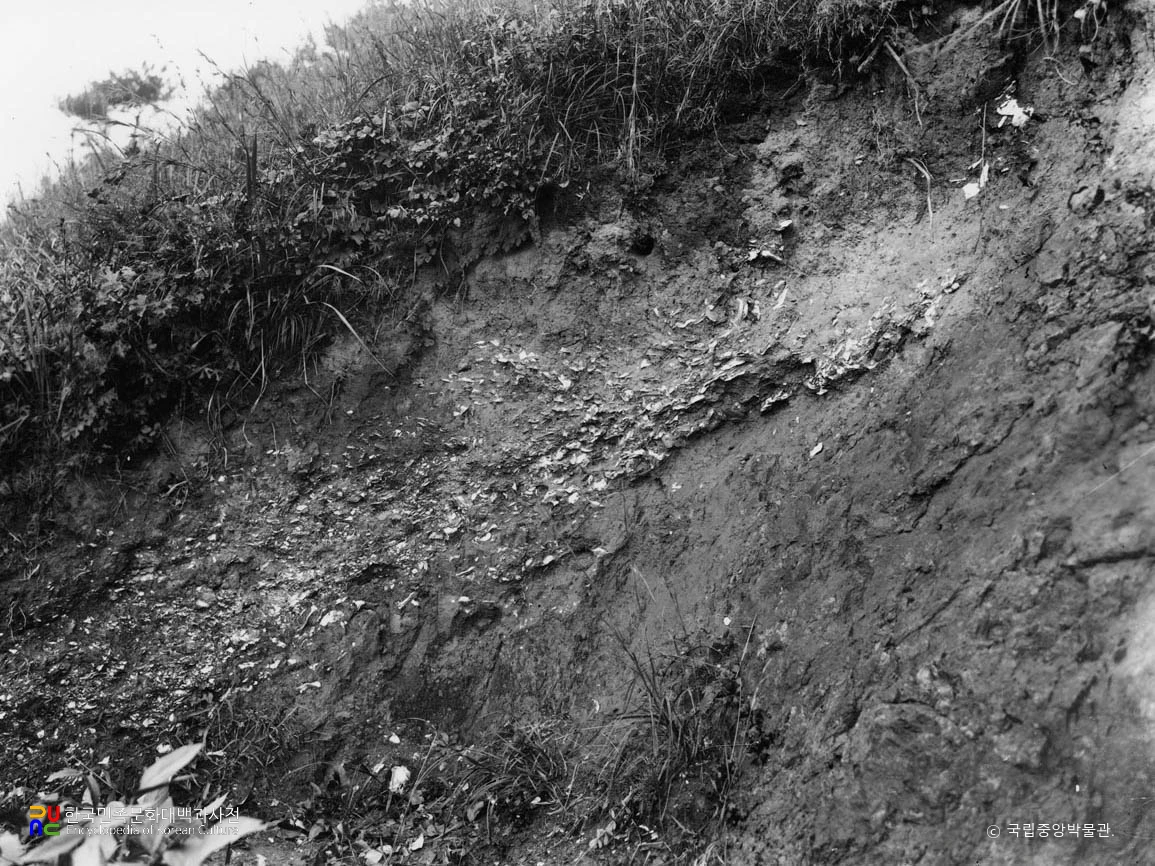 옹진 시도 패총