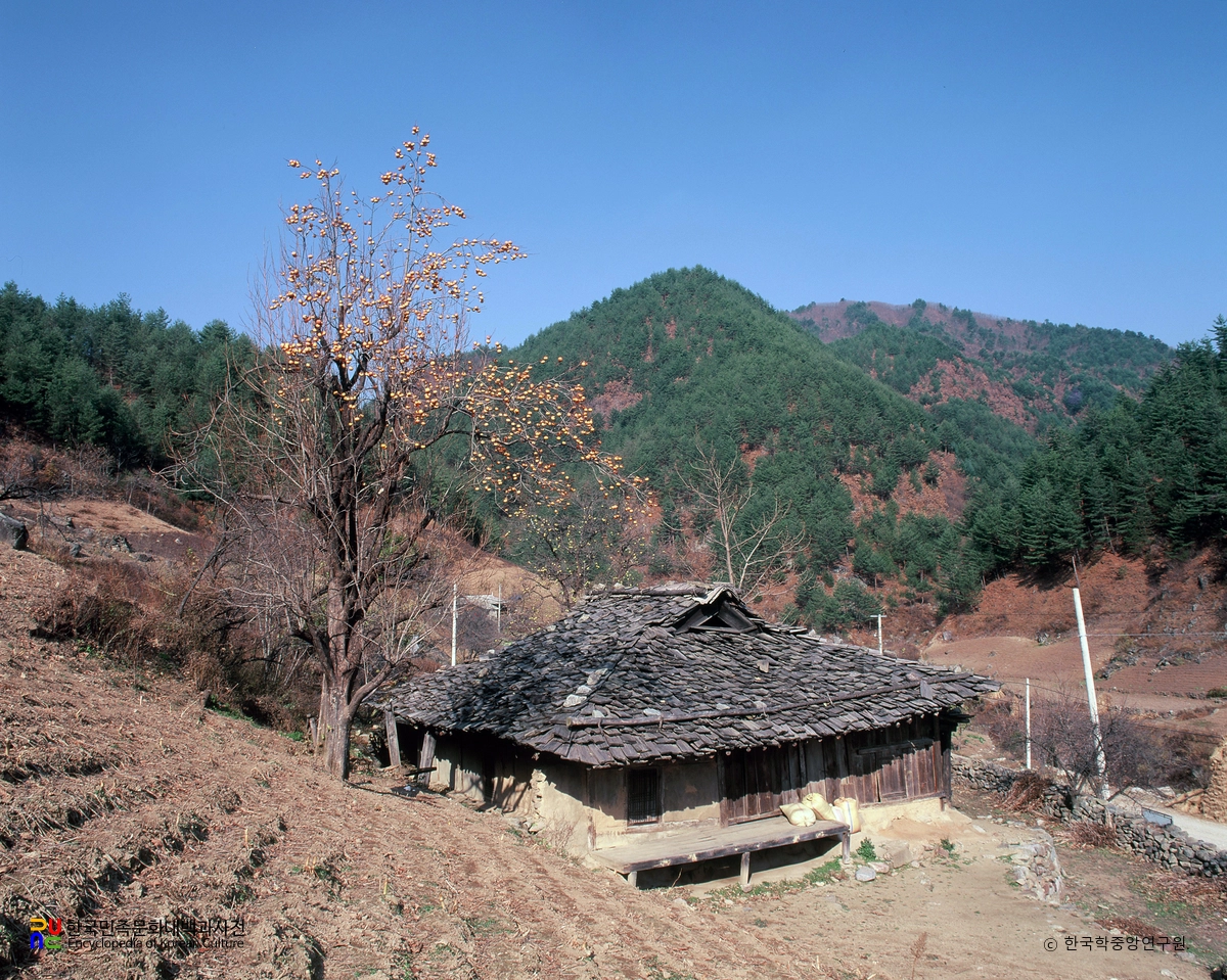 삼척 신리 소재 너와집 정측면 근경