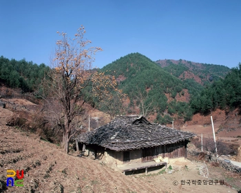 삼척 신리 소재 너와집 정측면 근경