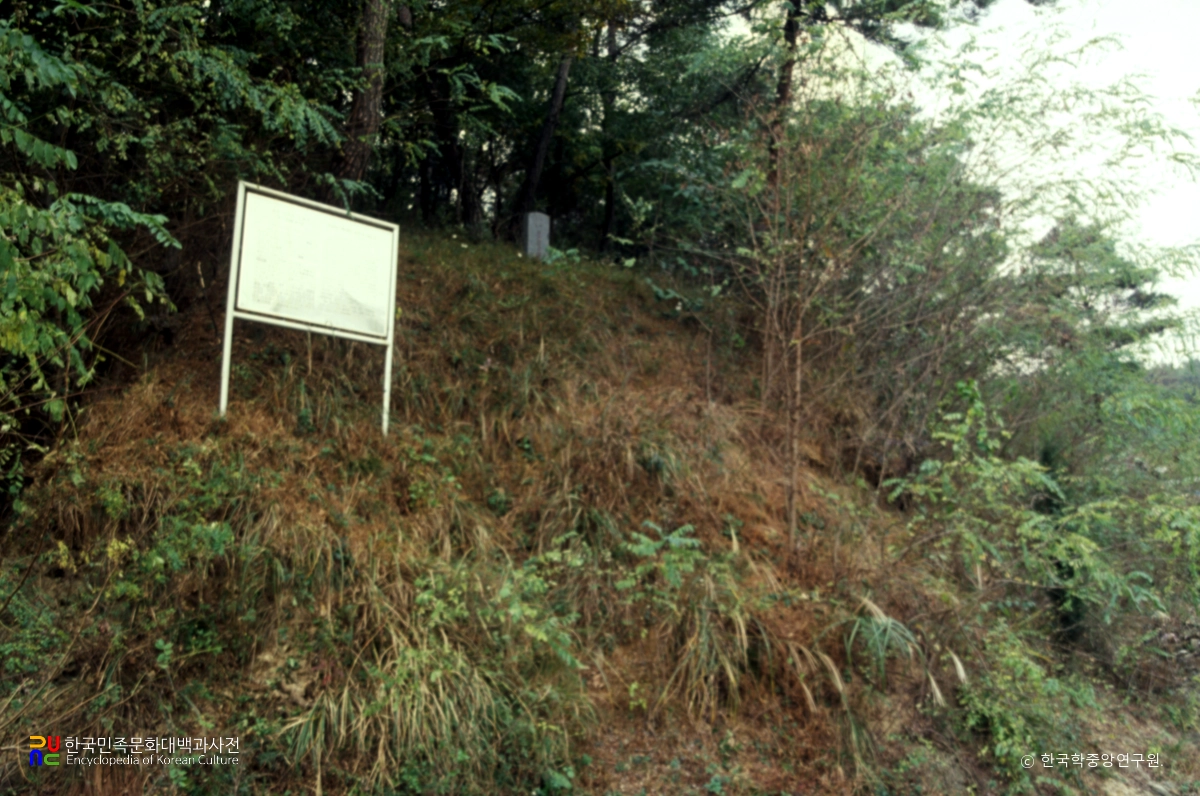 고령 사부동과 기산동 요지