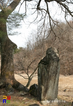 영주 청구리 입석 측면