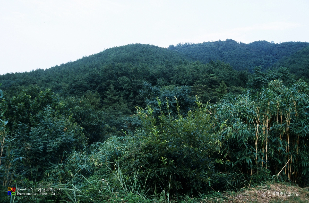 양산 중부동 고분군