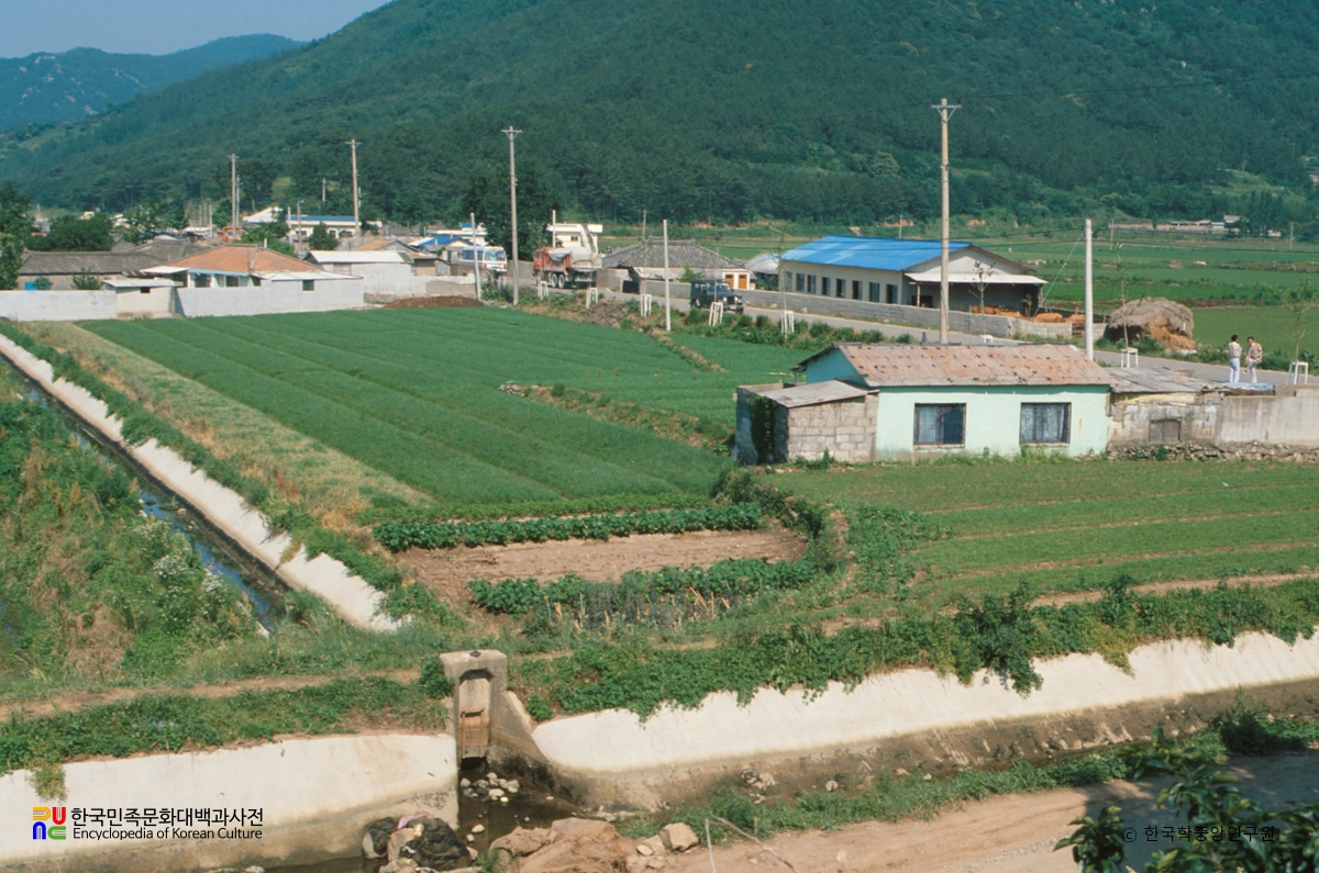 김해 예안리 고분군