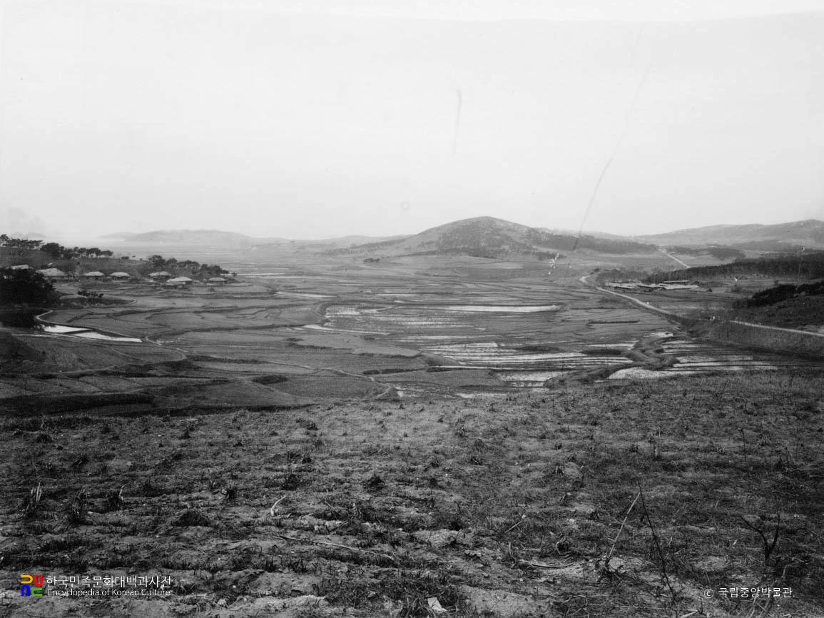 인천 학익리 고인돌 유적 전경